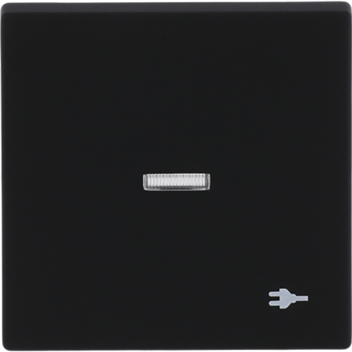 ABB Busch-Jaeger wip v wis contr wcdsymbool f-matzwart - 9paa00000321063 - 20089110