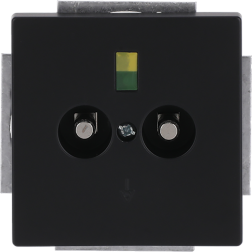 ABB Busch-Jaeger aardingscontactdoos+cpl 2v inb f-matzw - 9paa00000321481 - 20090289