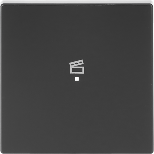 ABB Busch-Jaeger FaH bedieningswip 1-v scene f-antraciet - 9paa00000325157 - 20090395