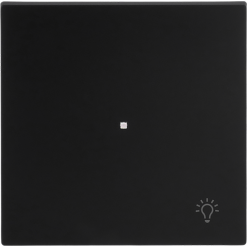 ABB Busch-Jaeger FaH bedieningswip 1-v licht art-matzwart - 9paa00000325248 - 20090615