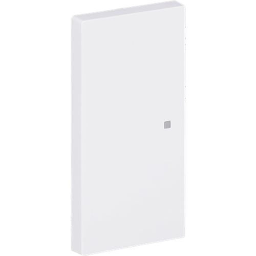 ABB Busch-Jaeger FaH bedieningswip 2-v art-wit - 9paa00000325270 - 20090625