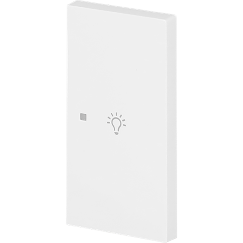 ABB Busch-Jaeger FaH bedieningswip rechts 2-v licht art-wit - 9paa00000325294 - 20090631