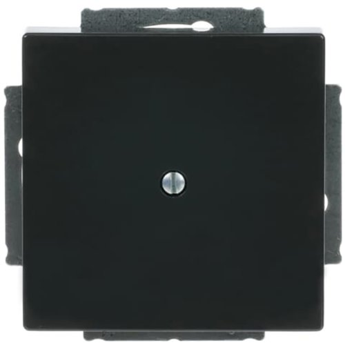 B&J centraalplaat blind antraciet 1742-81 - 9paa00000336145 - 3030030