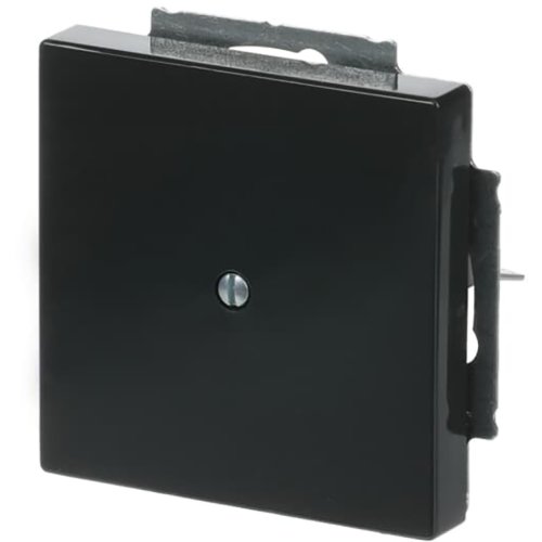 B&J centraalplaat blind antraciet 1742-81 - 9paa00000336146 - 3030030