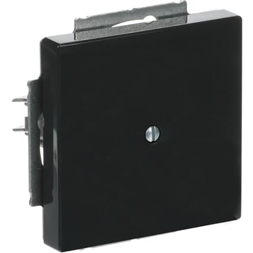 B&J centraalplaat blind antraciet 1742-81 - 9paa00000336147 - 3030030