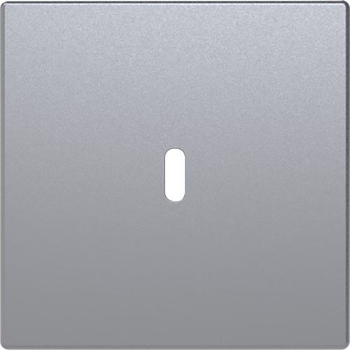 ABB Busch-Jaeger cpl USB-C 65W voeding f-aluzilver - 9paa00000336460 - 20090714