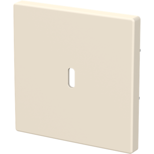 ABB Busch-Jaeger cpl USB-C 65W voeding s-ivoor - 9paa00000336515 - 20090713