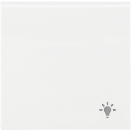 ABB Busch-Jaeger wip v pulsdr lichtsymbool SI-B-alpinwit - 9paa00000337861 - 20088933