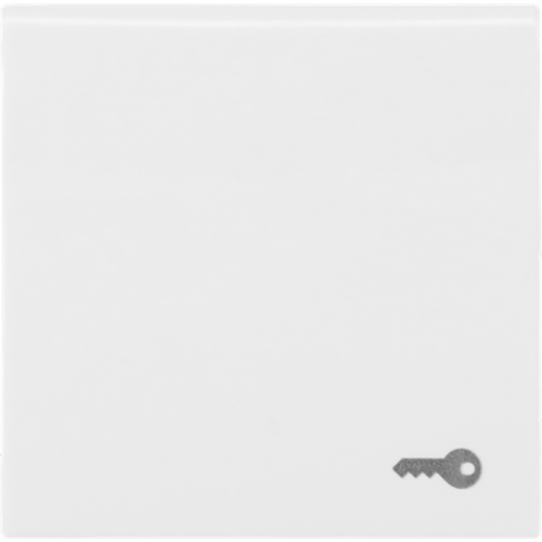 ABB Busch-Jaeger wip v pulsdr sleutelsymbool SI-B alpinwit - 9paa00000337866 - 20088935