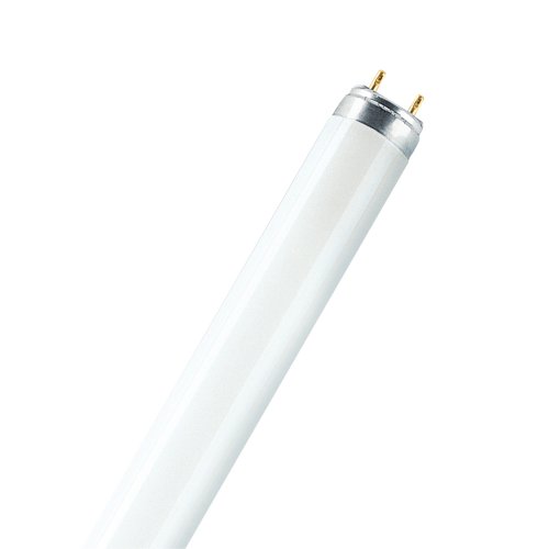 OSRAM lumilux tlbuis 16w 840 t8 L16840 - Asset 283645 - 11000237