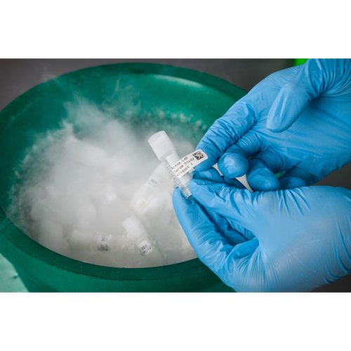 Brady Thermische transfert labels - Cryo lab app8 - 20008441