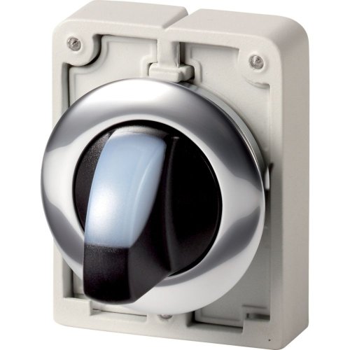 Eaton Signaalkeuzeschakelaar, 30mm, vlak, wit, 2 standen, terugverend - Eaton 1160pic 1695 l - 20062854