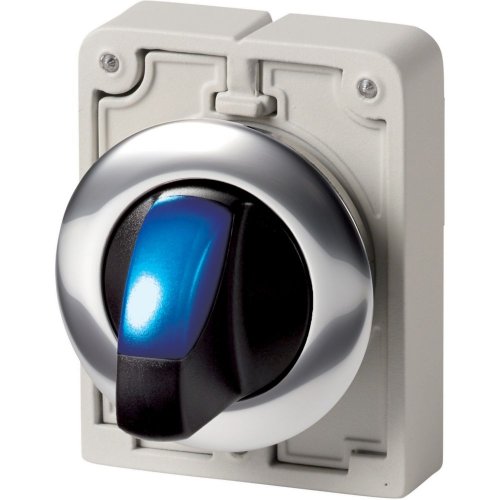 Eaton Signaalkeuzeschakelaar, 30mm, vlak, blauw, 2 standen, terugverend - Eaton 1160pic 1779 l - 20062846