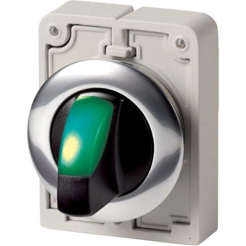 Eaton Signaalkeuzeschakelaar, 30mm, vlak, groen, 2 standen, vast - Eaton 1160pic 1781 l - 20062850