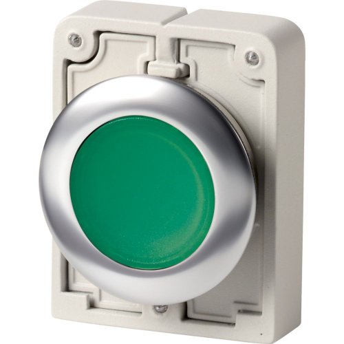 Eaton Signaaldrukknop, 30mm, RVS, vlak, groen, vast - Eaton 1160pic 1923 - 20062963