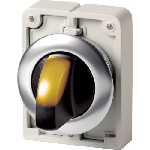 Eaton Signaalkeuzeschakelaar, 30mm, RVS, vlak, geel 2 standen, terugverend - Eaton 1160pic 1950 - 20063000