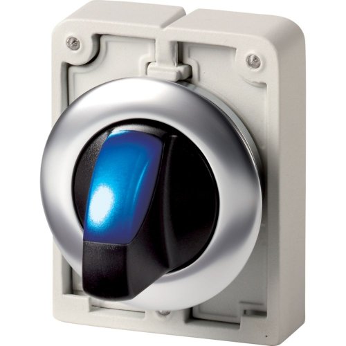 Eaton Signaalkeuzeschakelaar, 30mm, RVS, vlak, blauw, 2 standen, terugverend - Eaton 1160pic 1951 - 20063103