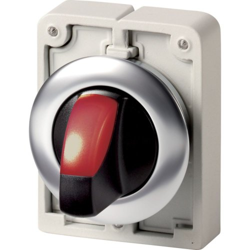 Eaton Signaalkeuzeschakelaar, 30mm, RVS, vlak, rood, 2 standen, terugverend - Eaton 1160pic 1953 - 20063108