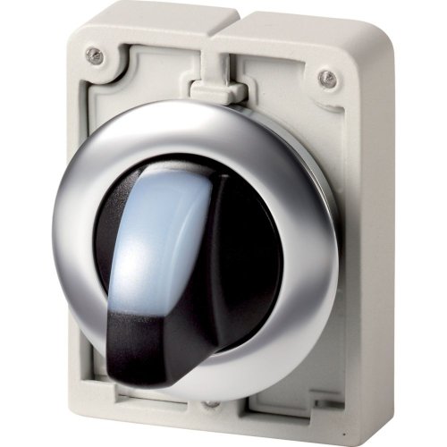 Eaton Signaalkeuzeschakelaar, 30mm, RVS, vlak, wit 2 standen, vast - Eaton 1160pic 1954 - 20063009