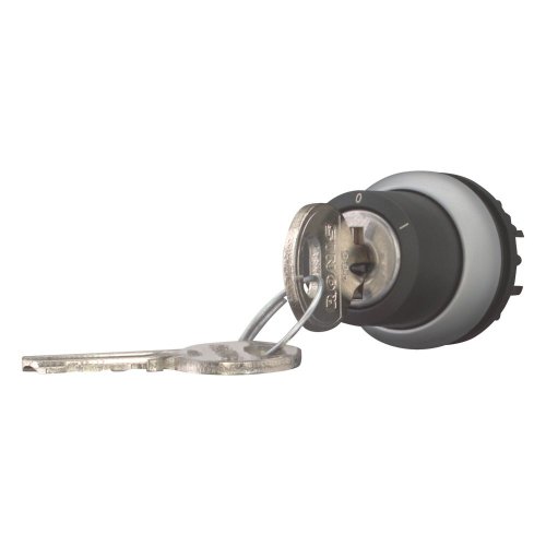 Eaton Sleutelschakelaar, 2 standen, Ronis 455, terugverend - Eaton 171147 l - 20061133