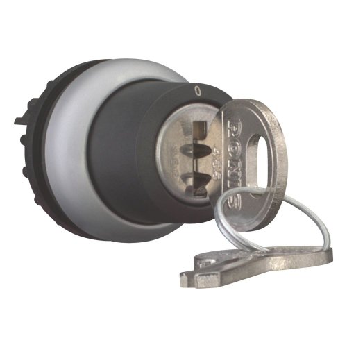 Eaton Sleutelschakelaar, 2 standen, RONIS 455, vast - Eaton 171149 r - 20061135