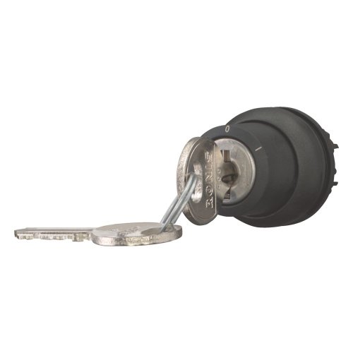 Eaton Sleutelschakelaar, 2 standen, vast (Ronis 455) - Eaton 171150 l - 20061136