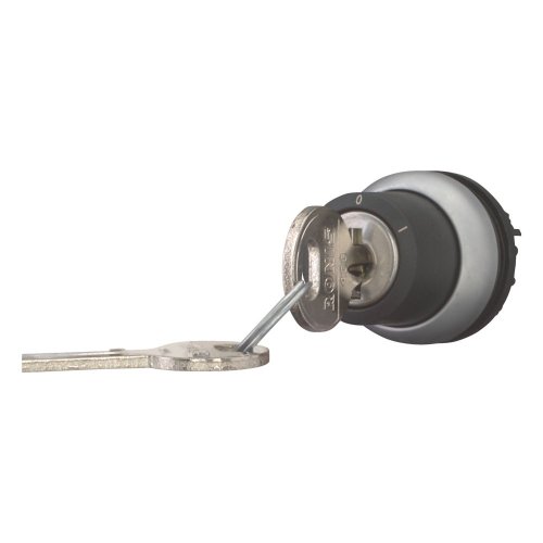Eaton Sleutelschakelaar, 2 standen, RONIS 455, vast - Eaton 171151 l - 20061137