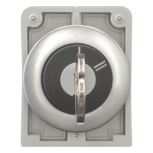 Eaton Sleutelschakelaar, 30mm, vlak, 2 standen, vast - Eaton 187067 c - 20062806