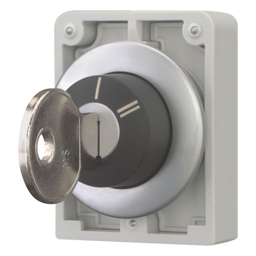 Eaton Sleutelschakelaar, 30mm, vlak, 2 standen, vast - Eaton 187067 l - 20062806