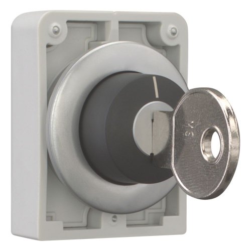 Eaton Sleutelschakelaar, 30mm, vlak, 2 standen, vast - Eaton 187067 r - 20062806