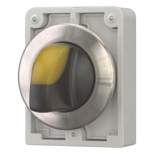 Eaton Signaalkeuzeschakelaar, 30mm, RVS, vlak, geel, 2 standen, vast - Eaton 188196 l - 20063005