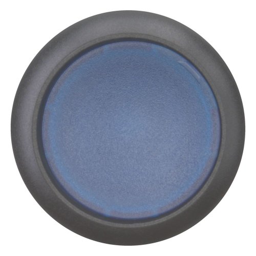 Eaton Signaaldrukknop, vlak, blauw, terugverend - Eaton 216932 c - 20065382