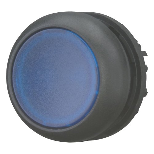 Eaton Signaaldrukknop, vlak, blauw, terugverend - Eaton 216932 l - 20065382