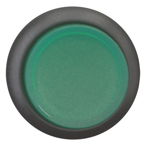 Eaton Signaaldrukknop, hoog, groen, vast - Eaton 216970 c - 20065272