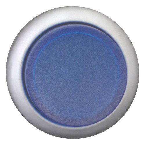 Eaton Signaaldrukknop, hoog, blauw, terugverend - Eaton 216973 c - 20065423