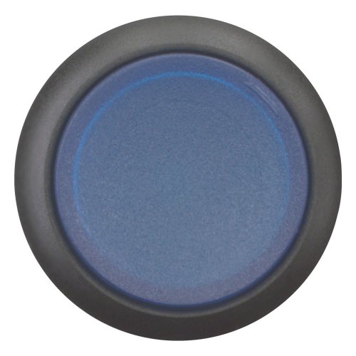 Eaton Signaaldrukknop, hoog, blauw, terugverend - Eaton 216974 c - 20065424