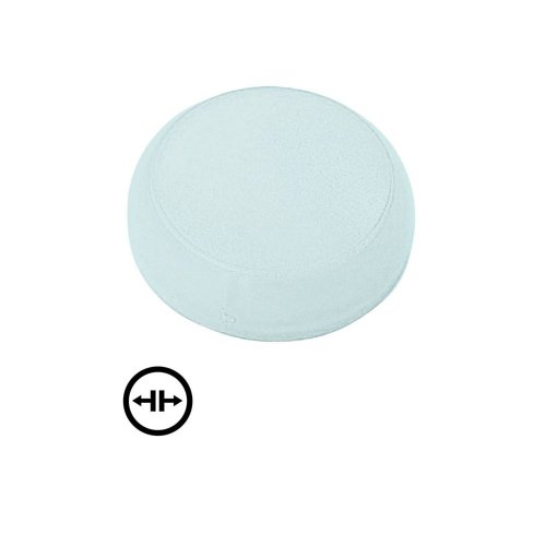 Eaton Lens, signaallamp wit, vlak, symbool wissen - Eaton 218396 c - 20065664