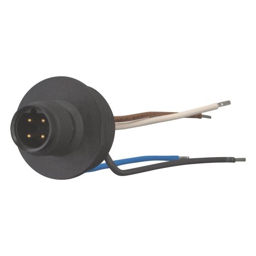 Eaton Inbouwstekker M12, B-gecodeerd, +doorvoer, M20, IP66, 250 V, 4A - Eaton 266136 l - 20066953
