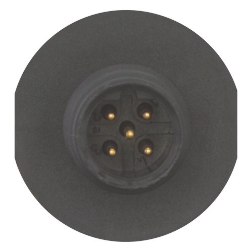 Eaton Aansluitbus, 5p, M12, 'B' gecodeerd - Eaton 272203 c - 20067009