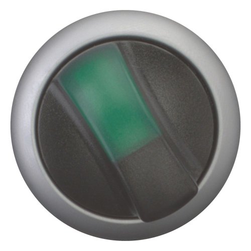 Eaton Keuzeschakelaar, 2 standen, verlicht, groen - Eaton 284395 c - 20068519