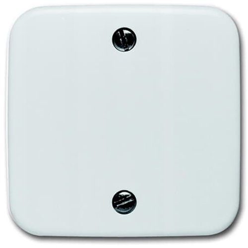 B&J centraalplaat treksch wit 1796-214 - F 1796 214 - 3130055