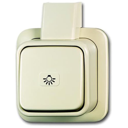 ABB Busch-Jaeger schak wis + plaat lichtsymbool opb AP - F 2601 6aplij - 20088035