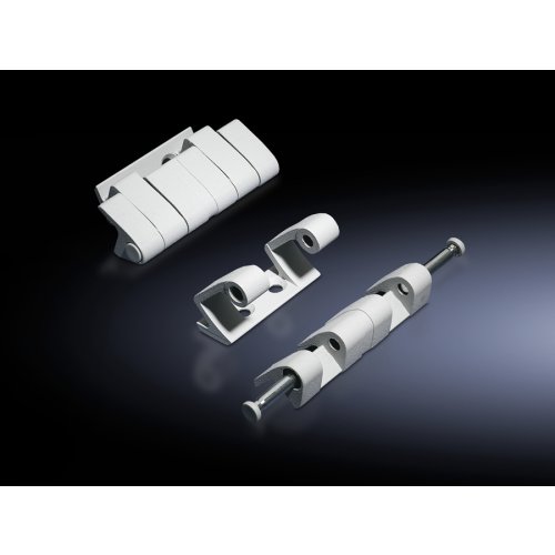 Rittal TS Scharnieren 180&deg; dyn bel RAL7035 VE=4 - Fri100554295 - 20136515
