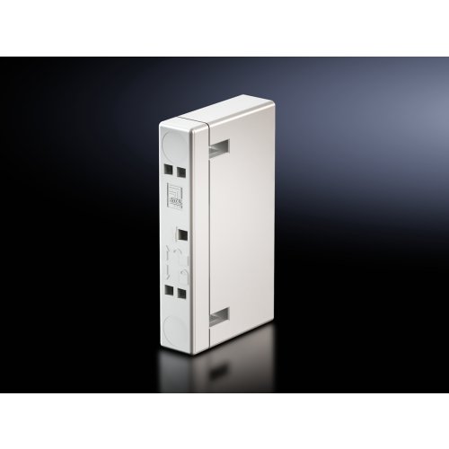 Rittal SV RiLine60 Railsteun 2polig VE=4 - Fri160412995 - 20137042