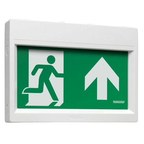 FAMOSTAR go! noodverlichtingsarmatuur led PPA-1 - Go 20plafond - 3100163