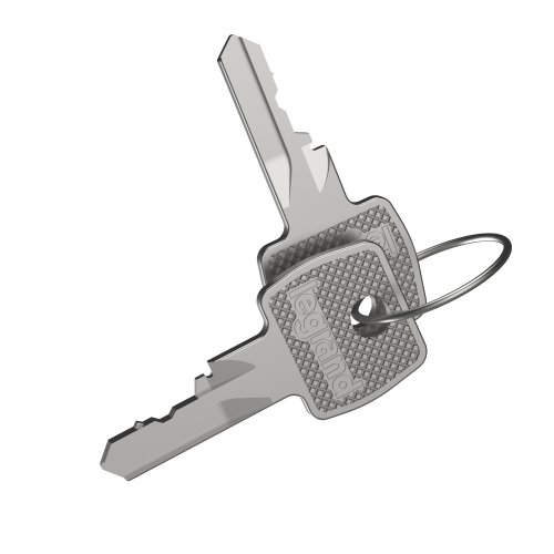 Legrand Sleutel set van 2 sleutels nr.2433A - Lg 036545 web r - 20037902