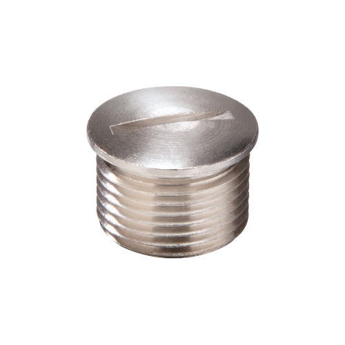 Wiska Blindstop messing vernikkeld, M25x1,5 met lange tap - Productfoto transparant blindstop messing emvs l50 wiska 568195 - 20149520