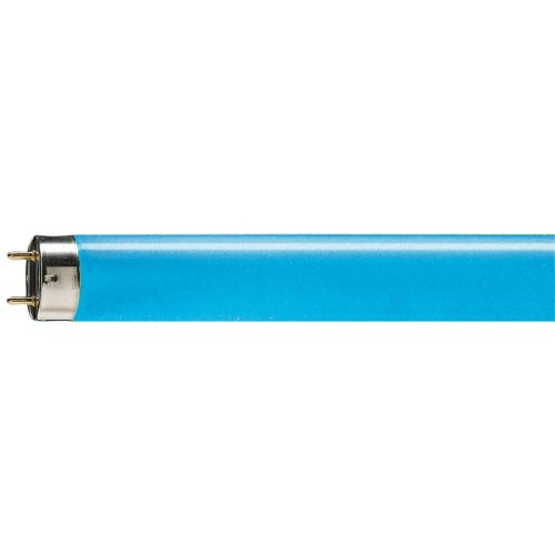 PHILIPS tlbuis 18w/18 blauw - Signify lppr1 tl dcol blue g13 - 9009404