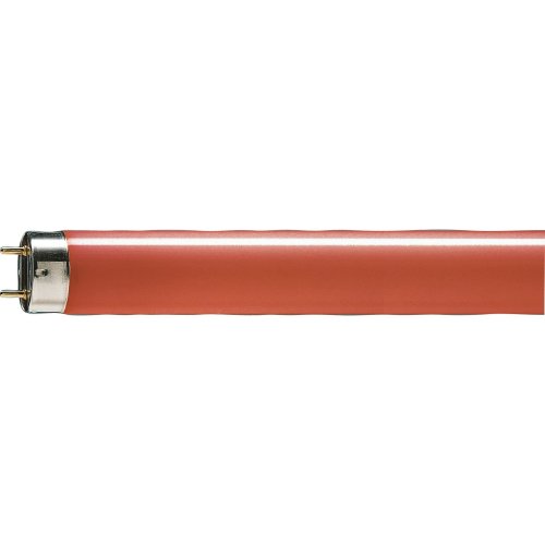 PHILIPS tlbuis 18w/15 rood - Signify lppr1 tl dcol red g13 - 11004074