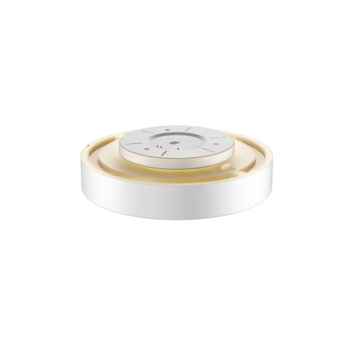 SLV MEDO 40 CW AMBIENT, led indoor wand- en plafondopbouwlamp, DALI, wit,  - Slv 1001896 ren2 rgb - 20023262